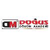dm doğuş döküm akademi logosu