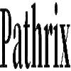 pathrix logosu