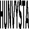 hunvysta logosu