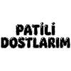 patili dostlarım logosu