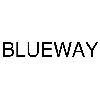 blueway logosu