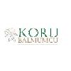 koru balmumcu logosu
