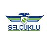 selçuklu şekil logosu