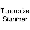 turquoise summer logosu