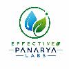 panarya labs effective logosu