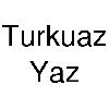 turkuaz yaz logosu