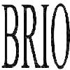 brio logosu