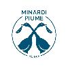 minardi piume est. 1916 logosu