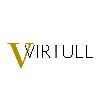 virtuel logosu