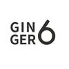 gin ger6 logosu