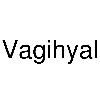vagihyal logosu