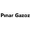 pınar gazoz logosu