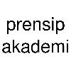 prensip akademi logosu
