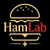 hamlab logosu