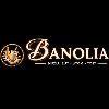 banolia muzlu süt atom tost logosu