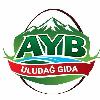 ayb uludağ gıda logosu