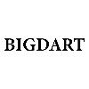bigdart logosu