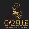 gazelle çeliğin tasarımla şekillendiği adres logosu