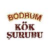 bodrum kök şurubu logosu