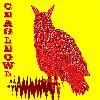 ceagleowl logosu