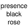 presence black rose logosu