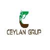 ceylan grup logosu