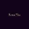 rota plus logosu