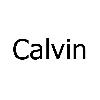 calvin logosu