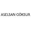 aselsan göksur logosu