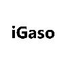 igaso logosu
