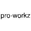 pro-workz logosu