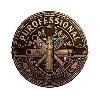 purofessional logosu