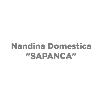 nandina domestica "sapanca" logosu
