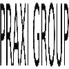 praxi group logosu