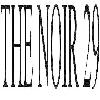 the noir 29 logosu
