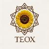 teox logosu