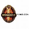 springfield yeni nesil dürüm logosu