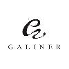 galiner logosu