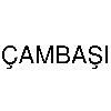 çambaşı logosu