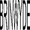 brinwyde logosu