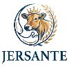 jersante logosu