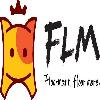 flm floormart, floor more. logosu