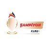 şampiyon kurs logosu