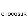 chocosür logosu