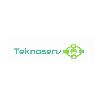 teknoserv logosu