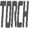 torch logosu