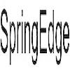springedge logosu