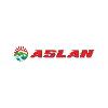 cide aslan logosu