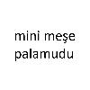 mini meşe palamudu logosu
