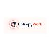 entropywork logosu